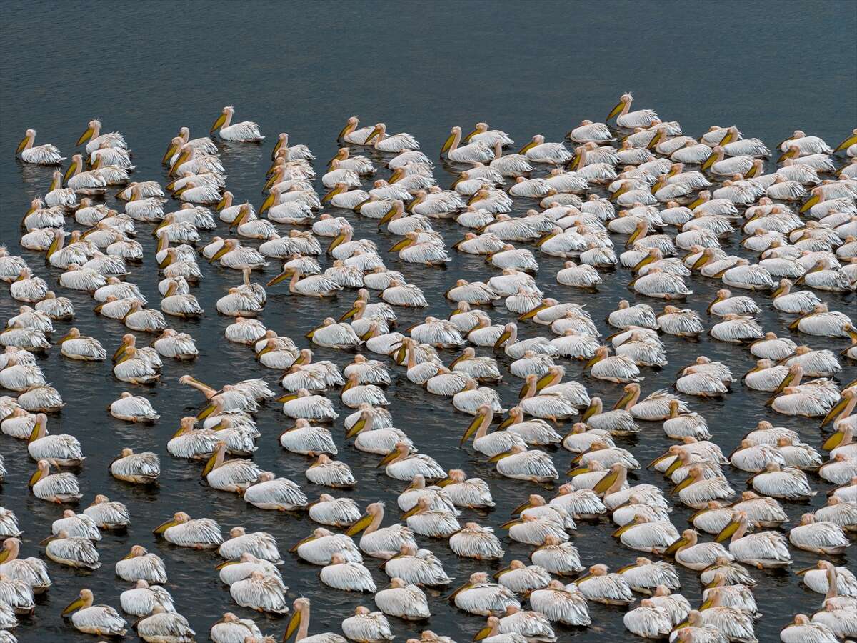 Konya’nın ünlü gölünde kuraklık sonrası sevindiren dönüş 1